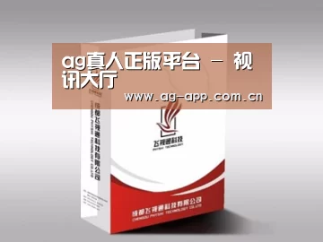 项目名称十三