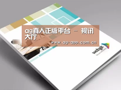 项目名称九