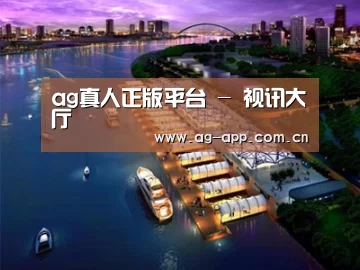 案例展示八