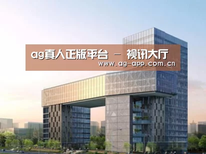 案例展示四
