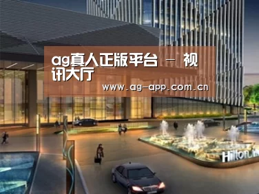 案例展示二