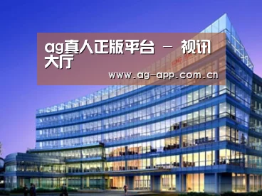 案例展示五
