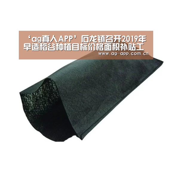 ‘ag真人APP’石龙镇召开2019年早造稻谷种植目标价格面积补贴工作会议(图1) AG真人app