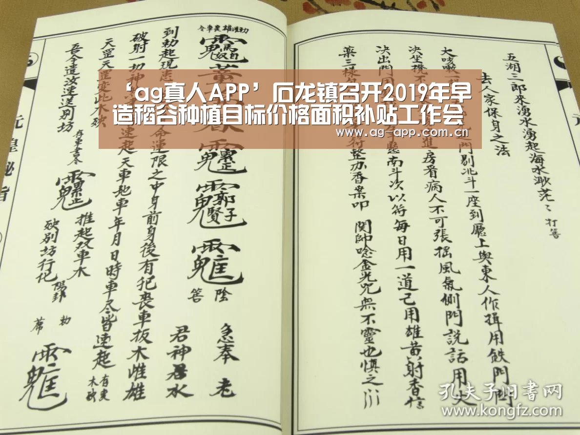 ‘ag真人APP’石龙镇召开2019年早造稻谷种植目标价格面积补贴工作会议(图4) ag真人下载