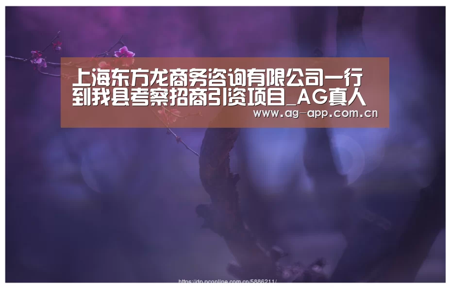 ag真人下载