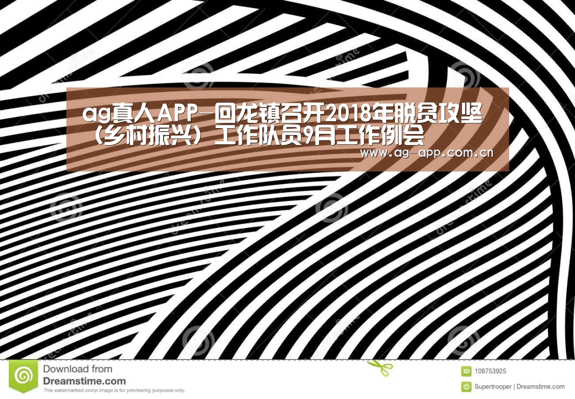 ag真人APP-回龙镇召开2018年脱贫攻坚(乡村振兴)工作队员9月工作例会(图3) ag真人厅下载