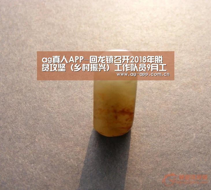 ag真人APP-回龙镇召开2018年脱贫攻坚(乡村振兴)工作队员9月工作例会(图1) ag真人下载