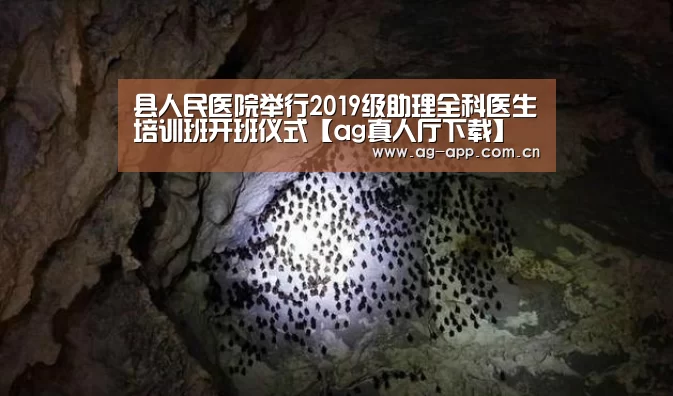 ag真人厅下载