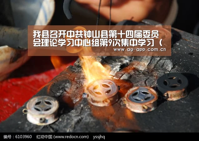 我县召开中共钟山县第十四届委员会理论学习中心组第9次集中学习(扩大)会议-ag真人APP(图3) AG真人app